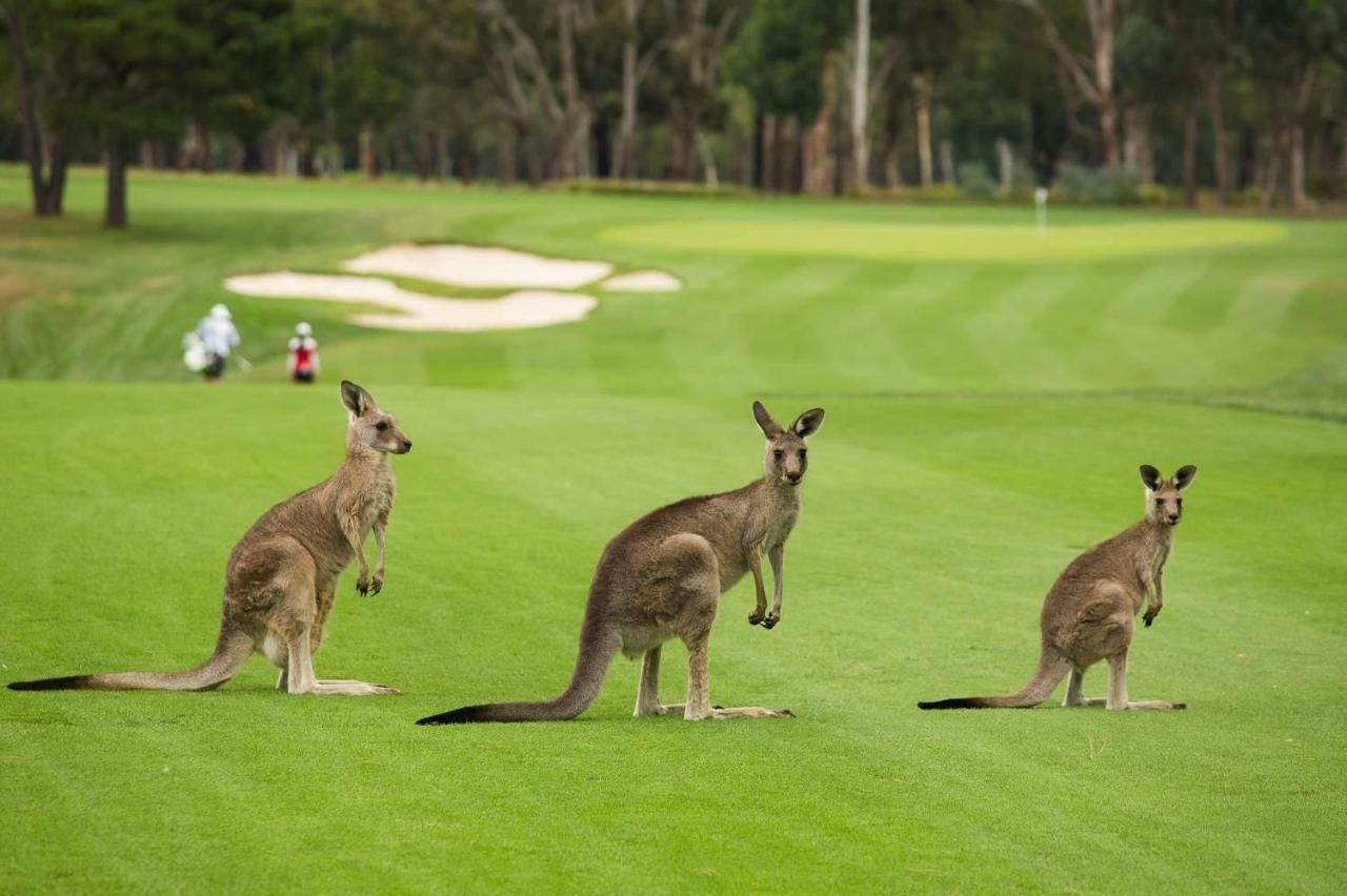 Apartment Forest View Creswick